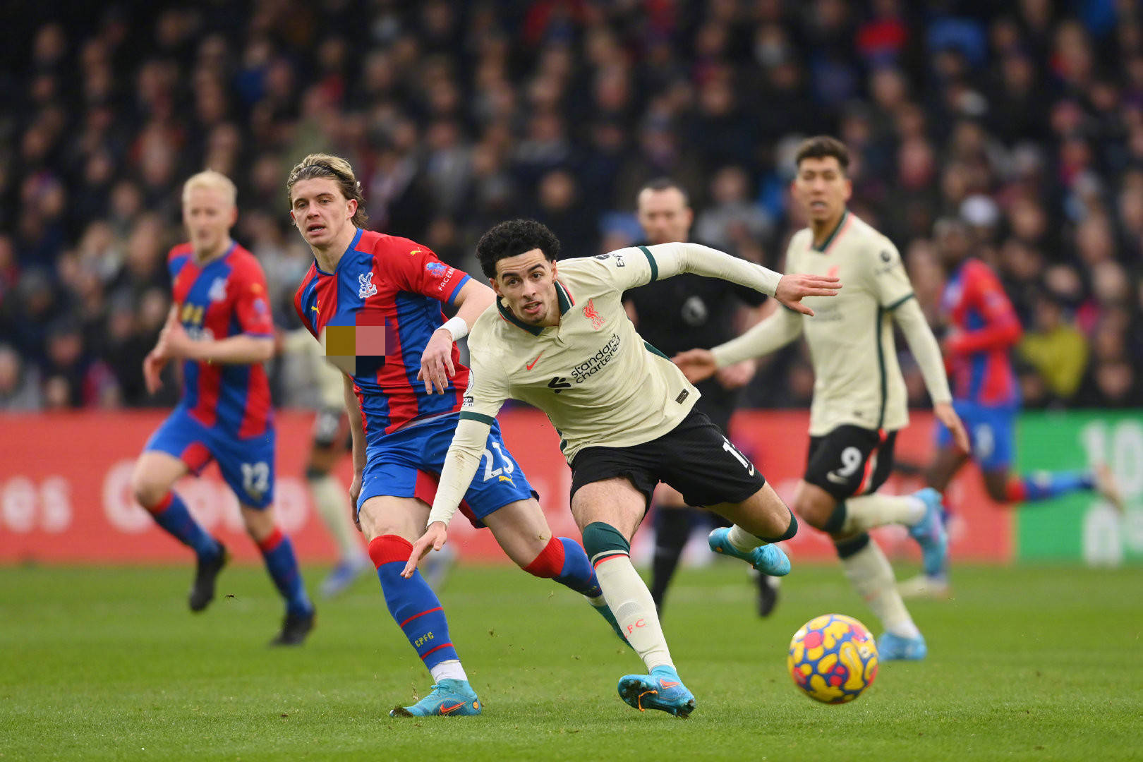 凯尔特人在 凯尔特人在